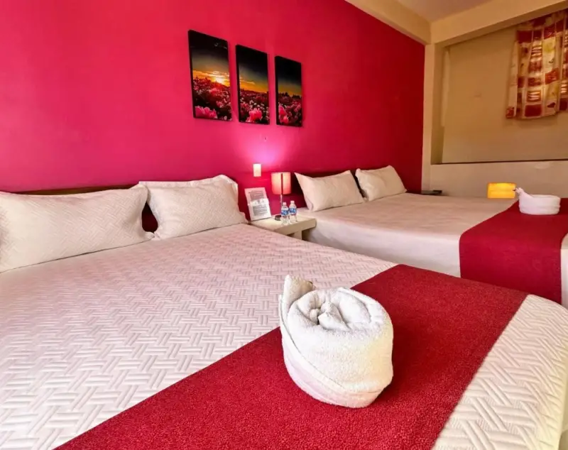 Standard Quadruple Room
